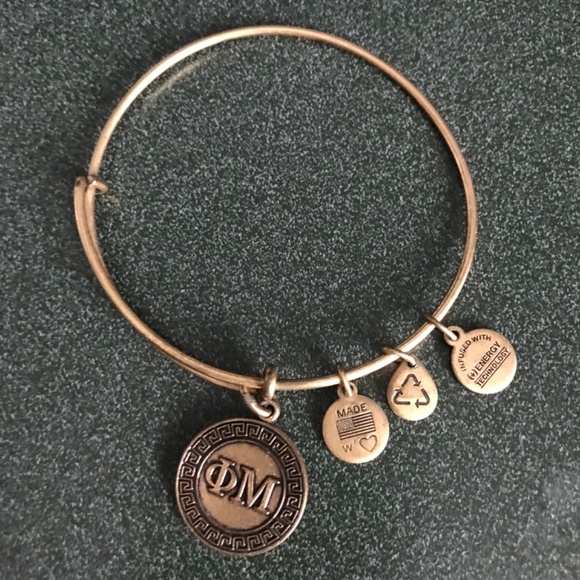 Alex and Ani Expandable Wire Bangle Bracelet 2015 - Picture 2 of 13